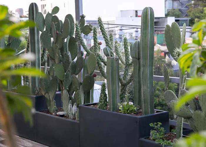 Hotel Casa Juliana *